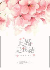 此婚是我结