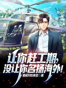 让你赶工期，没让你名扬海外！
