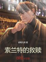 索兰特大陆：救赎日记