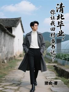 清北毕业，你让我回村当书记？