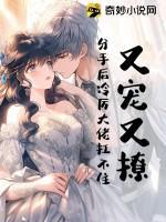 又宠又撩，分手后冷厉大佬扛不住！